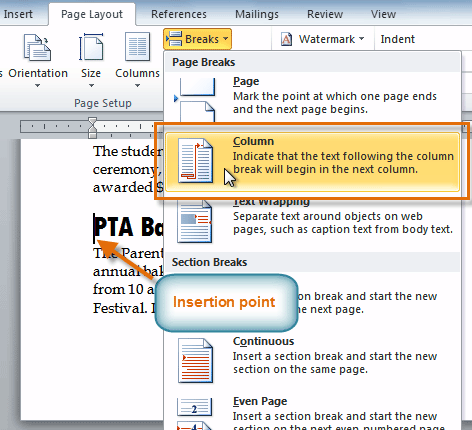 view section breaks word 2010