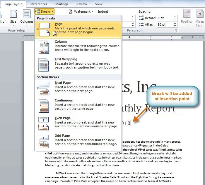 how to break page in word document