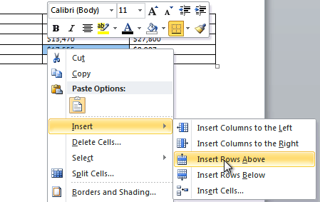 Word 2010 Working with Tables