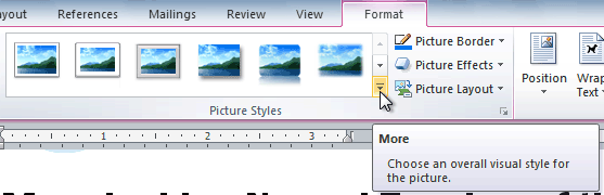 Viewing the Picture Styles