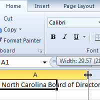 Excel 2010 Modifying Columns Rows and Cells