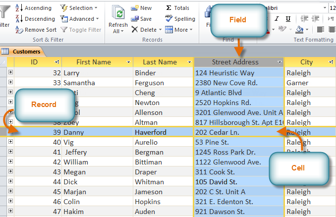 Records, fields, and cells in an Access table