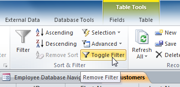 Removing the current filter with the Toggle Filter command
