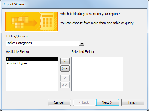The Report Wizard dialog box