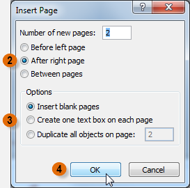 The Insert Page dialog box