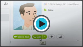 Launch "Making Calls with Skype" video!