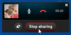 Screenshot of Skype