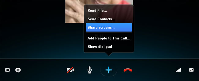 Screenshot of Skype