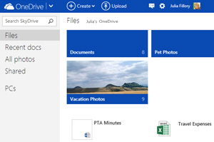 Screenshot of Microsoft SkyDrive