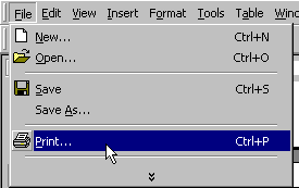 File menu with print selected