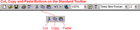 Cut, Copy, and Paste Buttons on the Standard Toolbar
