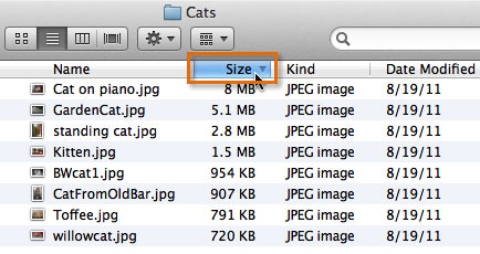 Sorting by file size