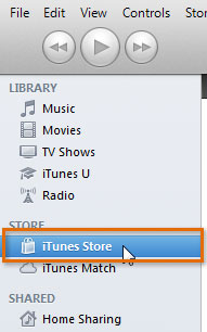 Screenshot of iTunes