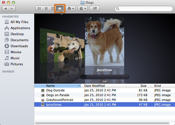 Screenshot of OS X Mountain Lion