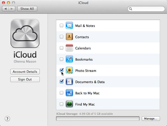Selecting the desired iCloud features