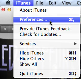 Going to the iTunes preferences