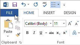 adobe into word