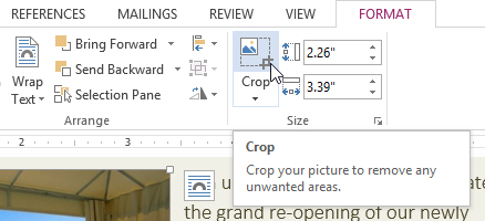 Screenshot of Word 2022