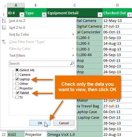 Ảnh chụp màn hình của Excel 2013