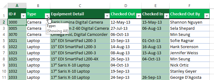 Ảnh chụp màn hình của Excel 2013