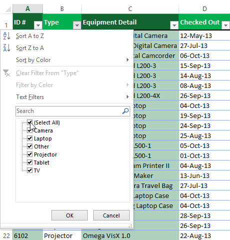 Ảnh chụp màn hình của Excel 2013