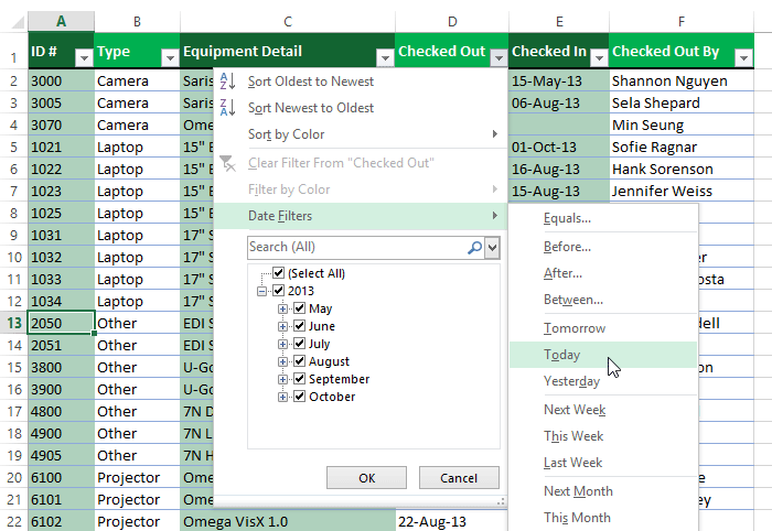 Ảnh chụp màn hình của Excel 2013