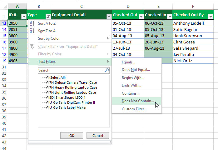 Ảnh chụp màn hình của Excel 2013