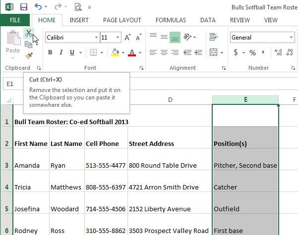 Excel 2013 Modifying Columns Rows and Cells