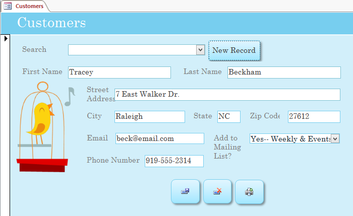 Screenshot of Access 2013