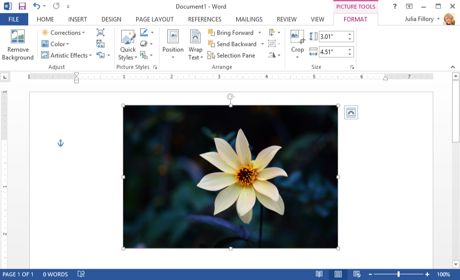 screenshot of Microsoft Word