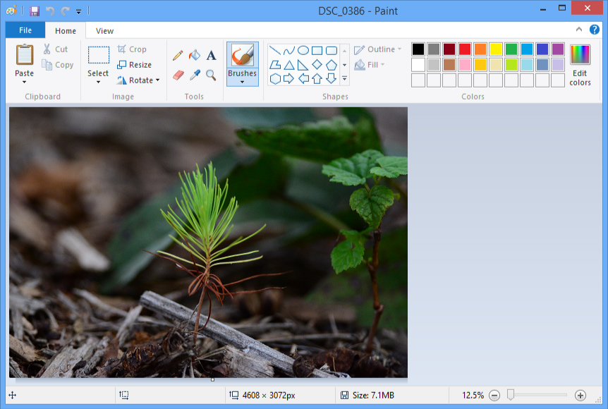 Windows 11 Photo Editor: 2 Built-in Applications & 3 Alternatives