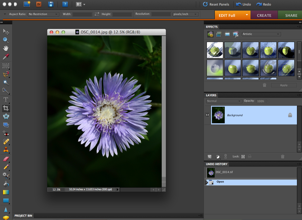 photo editing programs that run with photoshop elements