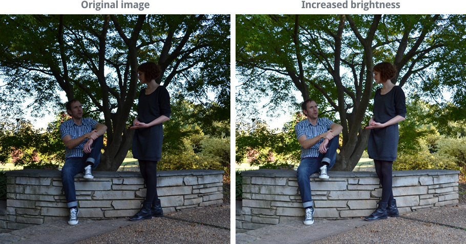 images comparing varying levels of brightness