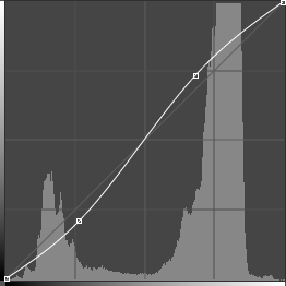 Understand Curves in Photoshop — The School of Photography - Courses,  Tutorials & Books