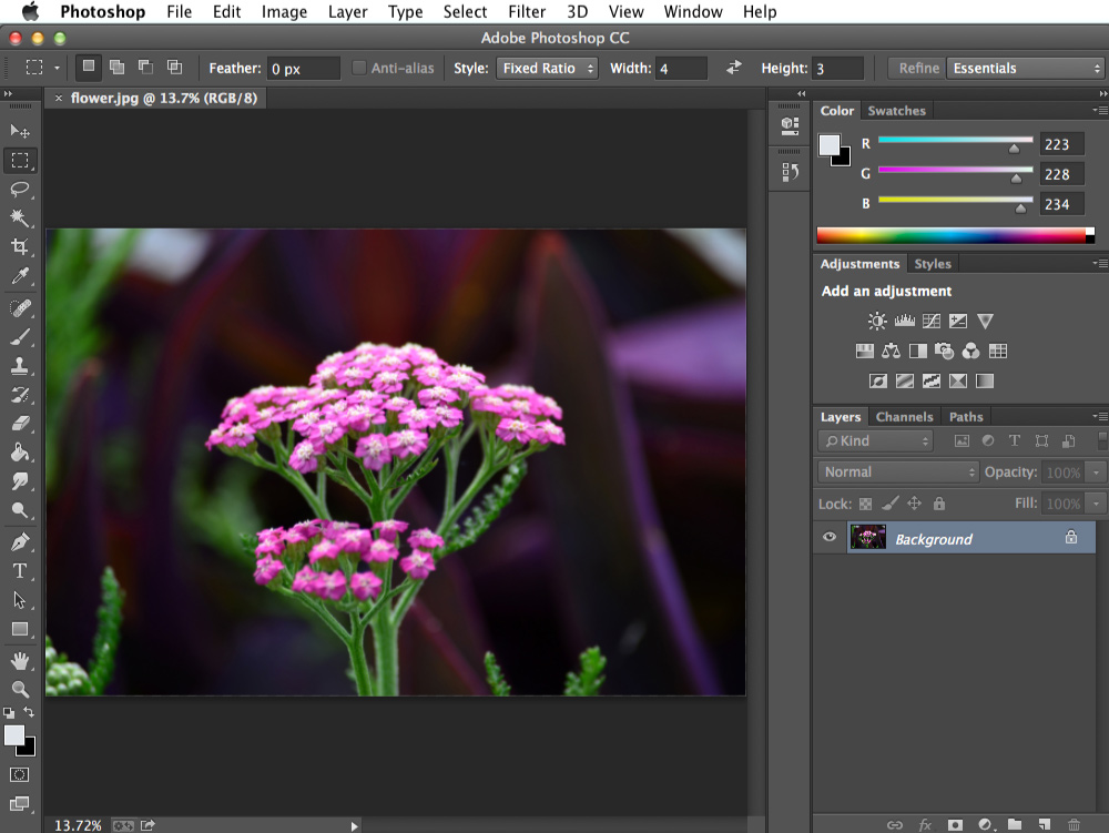 difference between photoshop elements for mac and windows