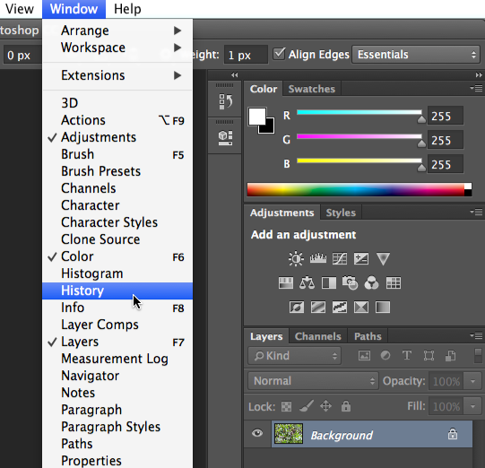 how to find your adobe cs5 key