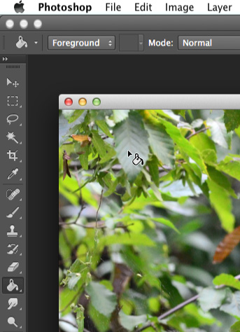 Ảnh chụp màn hình của Adobe Photoshop CC