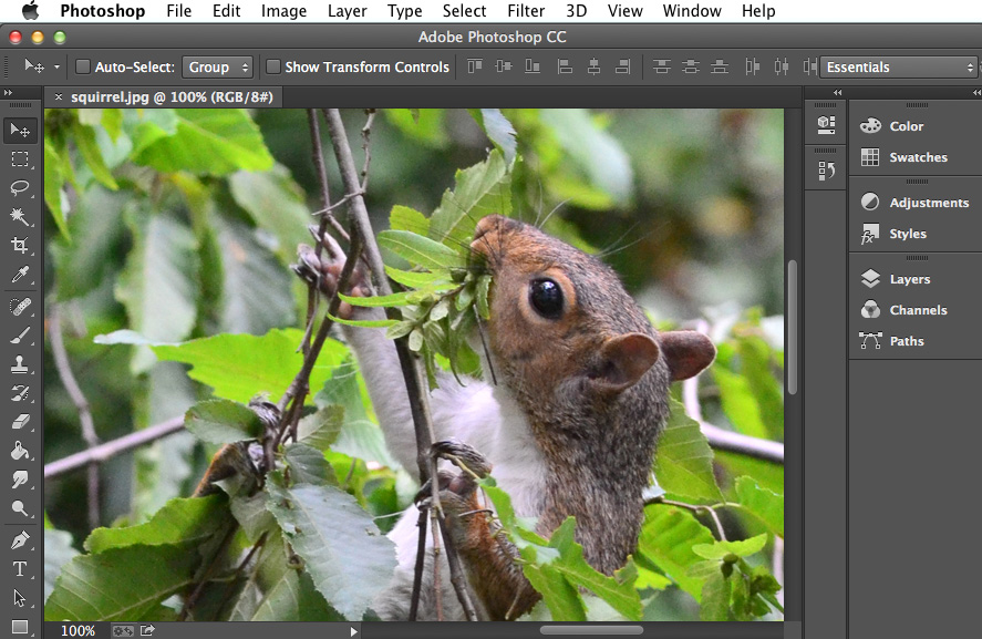 Photoshop Basics: Getting to Know the Photoshop Interface