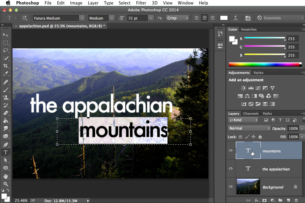 Photoshop Basics Working With Text