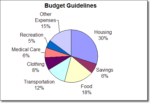 company monthly expenses chart