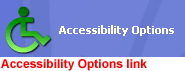 Accessibility Options link