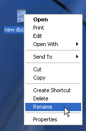 Right-click and choose Rename from the pop-up menu