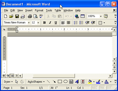 word program window