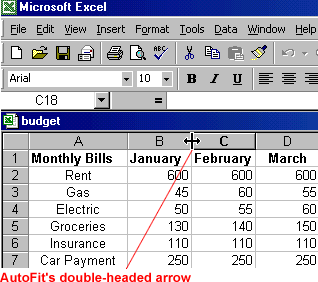 Excel 2000 Adjusting Column Width and Row Height