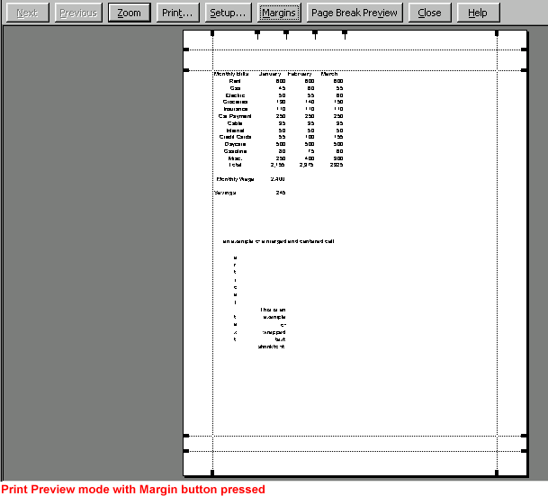 Adjust Margins in Print Preview