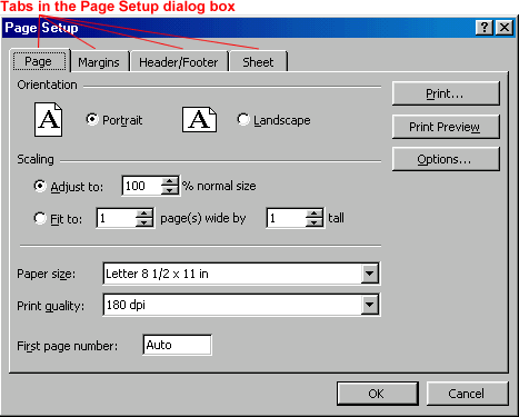 Tabs in Page Setup Dialog Box