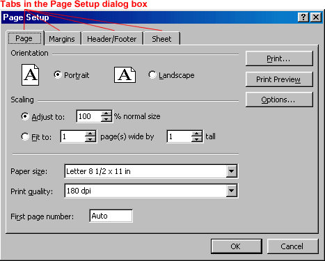 Excel 2000: Using the Page Setup Dialog Box