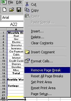 Remove Page Break
