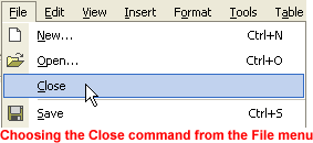 Choosing the Close command from the File menu