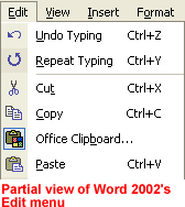 Partial view of Word 2002's Edit menu